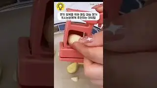 원기 회복을 위해 매일 마늘 챙겨 드시는분에게 추천하는 대박템. #shorts