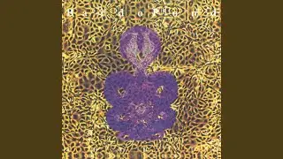 Tantric Porno