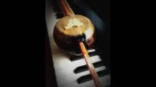 Selim Efe & Volkan Efe - Gözlerinin içine başka hayal girmesin