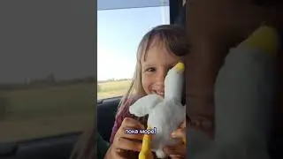 Едим домой с Крыма