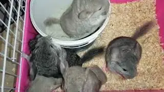 Летний урожай!