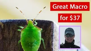 Macro for Under $40