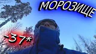 “Тайга” Мороз -35! «НОВОГОДНИЙ КОНТЕНТ» / В стужу за ёлкой!