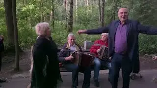 Измайловские вечера: Гармонисты и частушки Измайловского парка.