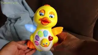 Fun Flapping Duck Toy  - Product Video