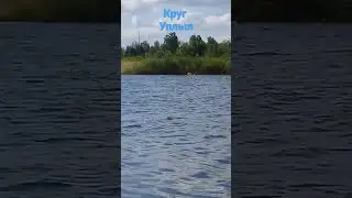 водянистое видео