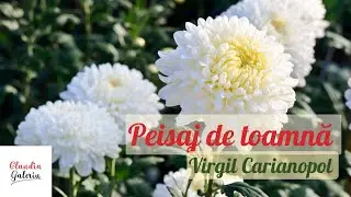 Peisaj de toamnă: Virgil Carianopol | Poezie de toamnă | Poeți români | Crizanteme