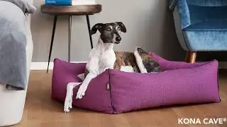 KONA CAVE® Luxury Dog Bed - ÖKO-TEX High-quality made in Europe - Beautiful Dog Bed - S Cat -XL Dog