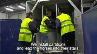 Air France - Special transport for special horses