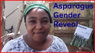 Asparagus gender reveal
