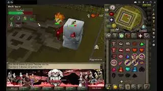 RuneScape Orion RSPS | PurpScripts Battle Buddy AHK Client PvP