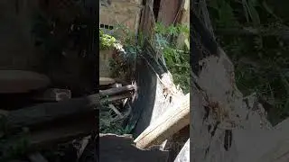 casa abandonada porém muito bonita