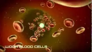 Gabriela Mursch - Particle Showreel 2013