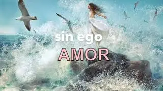 LA GAVIOTA DE LU - ¿Sabes amar? La soledad del ego, o el amor que nace de SER