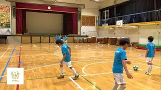 Astera #20