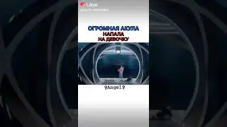 Огромная акула напалана девочку