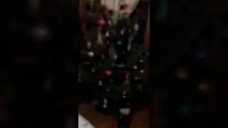 ПАДАРКИ ОТ ДЕДА МОРОЗА