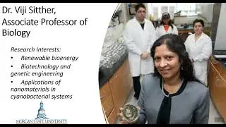 Nanoparticle-Treated Cyanobacteria: Biofuel of the Future