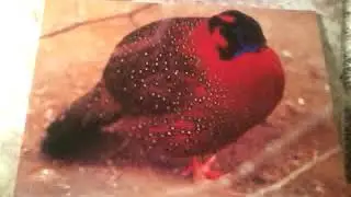 Распаковка- Открытки СССР 1 часть