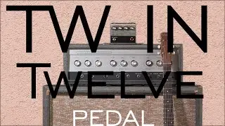 This GEM from the past gives you something UNIQUE. Jackson Audio X Silvertone 1484 Twin Twelve Pedal