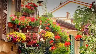 UMBRIA - SPELLO IN FIORE 2023 - 4k