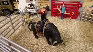 BULL RIDING/ Jaripeo/ RODEO