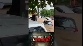 Как это остановить? Ответ в конце ролика!!! #shorts