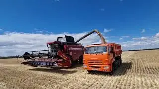 В Калачевском районе Волгоградской области был дан старт уборочной страде.