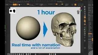 Skull anatomy for artists