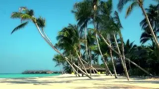 Your Luxury Private Island - Velaa Private Island Maldives