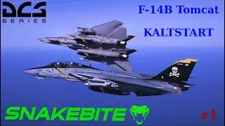✈ DCS | 🥽 VR |  F-14B Tomcat 😾| Kaltstart | Kurz und Knackig erklärt | Digital Combat Simulation