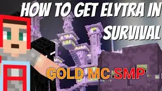 Minecraft the Deadliest player on the this lifesteal SMP