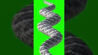 Green screen video gs snake 2024