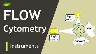 Flow Cytometry | Cell counting | Cell Sorting | Scattering | Basic Science Series