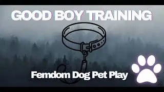 Good Boy Training 🐾 Femdom Dog Pet Play ASMR | Puppy Training