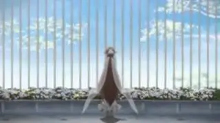 Anime amv   Hello by alice