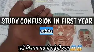 How many hours should I study in 1st year MBBS