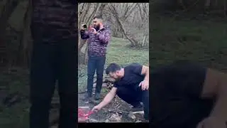 Пикник на природе