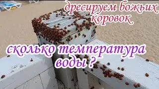 #Анапа