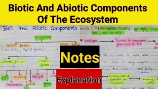 Biotic and abiotic components of the ecosystem | Biotic and abiotic factors  | Ecosystem
