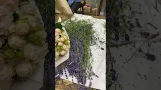 Легендарность этого видео зашкаливает