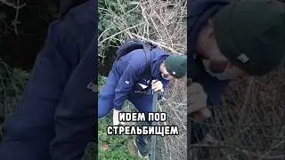Идем на море под пулями в италии #gordeev #дальнобойщики #автовоз
