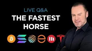 🏇How to identify the fastest horses? 🏆