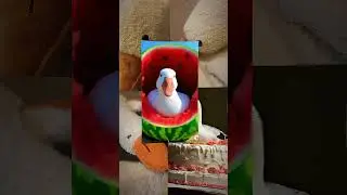эдит с гусями)