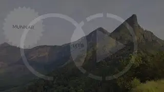 8K Trip to Munnar 