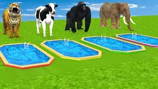 Guess the Right Mystery Pool | Gorilla Elephant Cow Buffalo Dinosaurs Funny Game