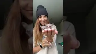 Вы Когда-Нибудь Видели Такое? Галаго 