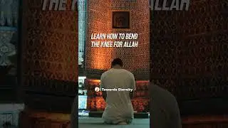 Trust in Allah! - Towards Eternity 