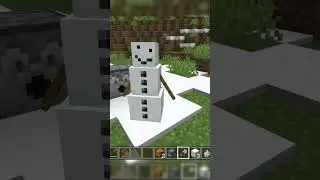 Enderman Can Make This Mob?! #minecraft