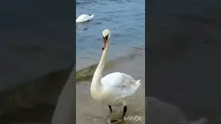 иртэлэр хэерле,коннэр имин булсын!